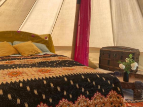 Wild Orchid bell tent in The Broads National Park